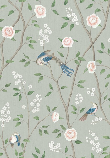 1903_ParadiseBirds_Closeup