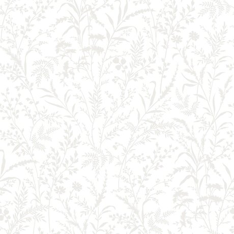 38746_Florian_Closeup