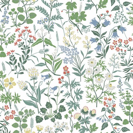 4180_Flora_Closeup