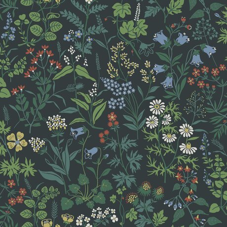 4181_Flora_Closeup