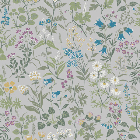 4182_Flora_Closeup