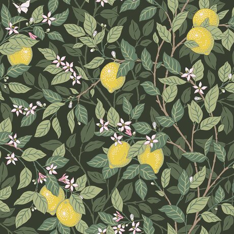 5701_Citrontrad_Closeup