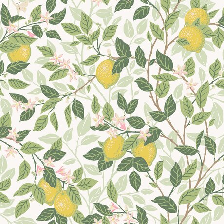 5702_Citrontrad_Closeup