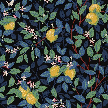 5703_Citrontrad_Closeup
