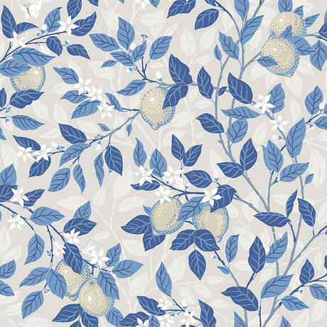 6149_Citrontrad_Closeup