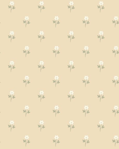 6972_Anemone_CroppedImage