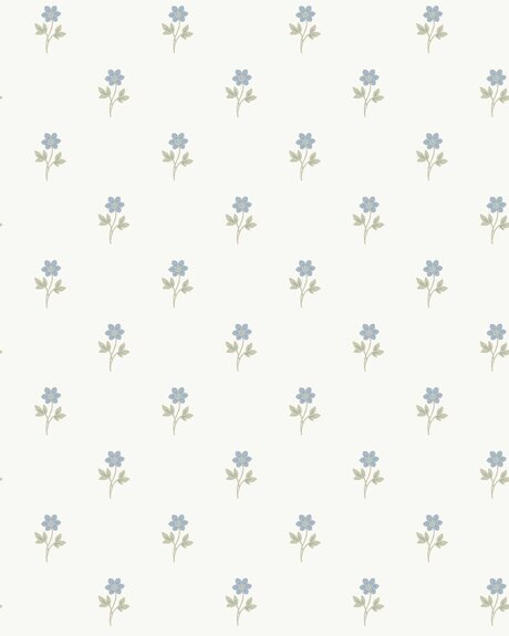 6974_Anemone_CroppedImage