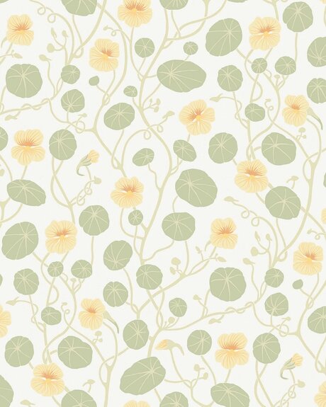 6975_Krasse_CroppedImage