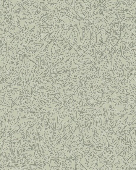 7787_SalixAlba_CroppedImage