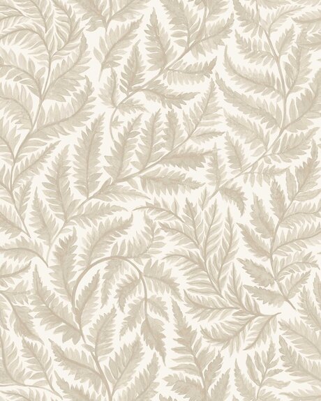 7789_Ferns_CroppedImage