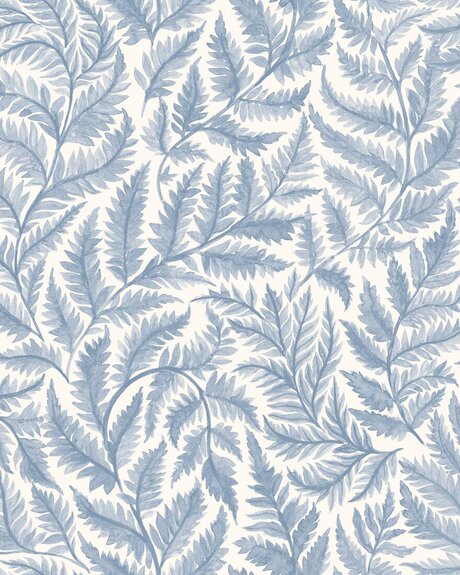 7790_Ferns_CroppedImage