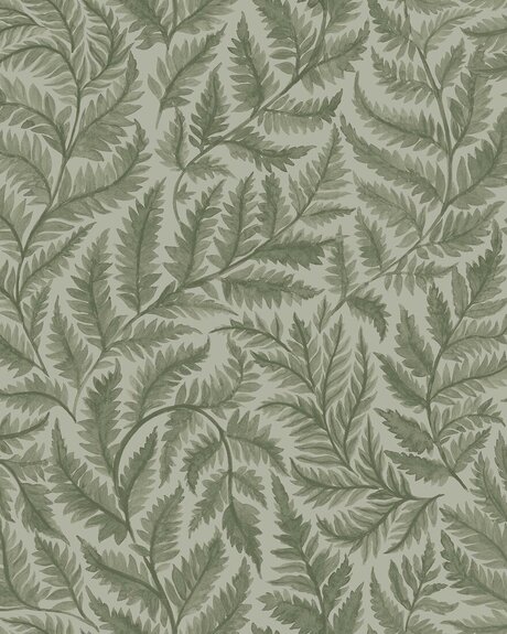 7792_Ferns_CroppedImage