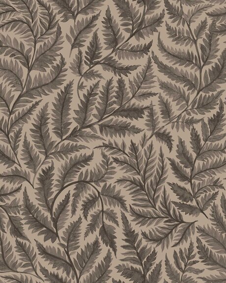 7793_Ferns_CroppedImage