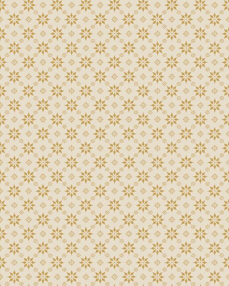 8066_Stella_CroppedImage