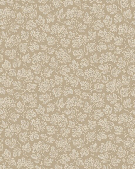 8080_Hagtorn_CroppedImage