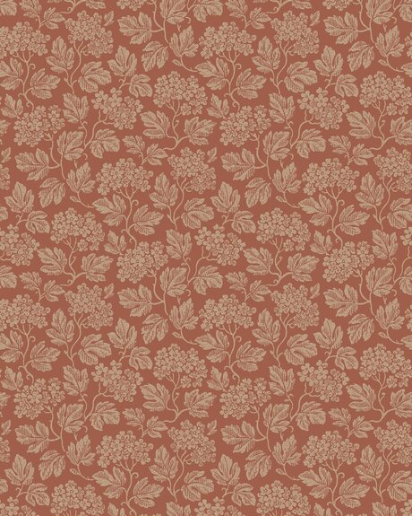 8081_Hagtorn_CroppedImage