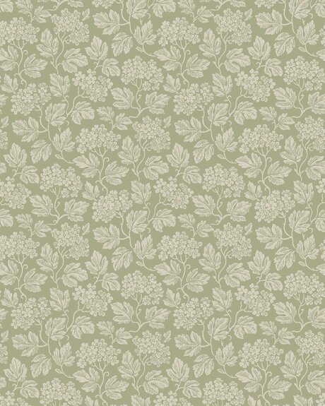 8083_Hagtorn_CroppedImage