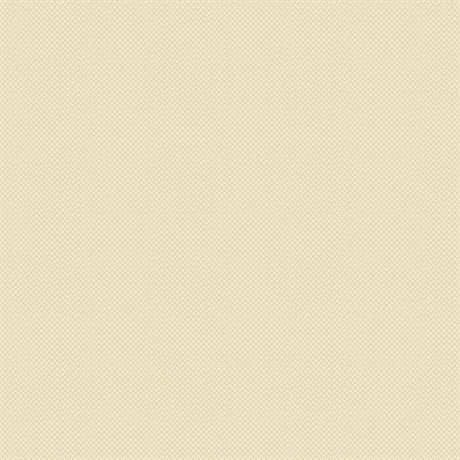 KANOKO_236-12-1-720x720-b0ff9fe3-fe5e-434e-bc77-6fbfadcba740
