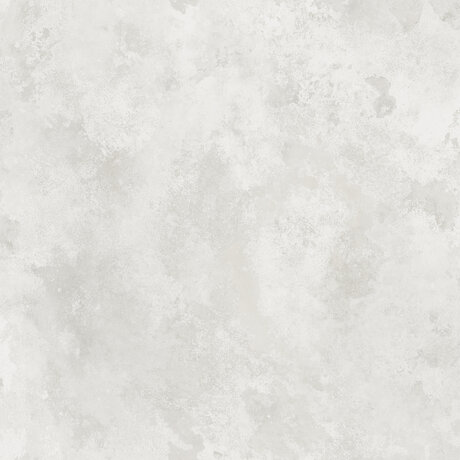 S10103_image1