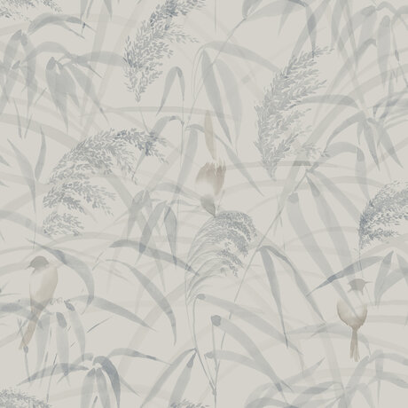 S10108_image1