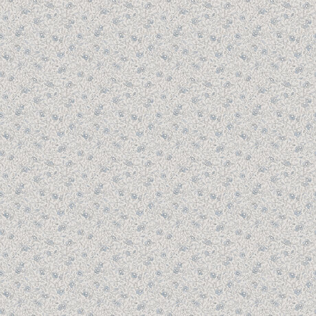 S10120_image1