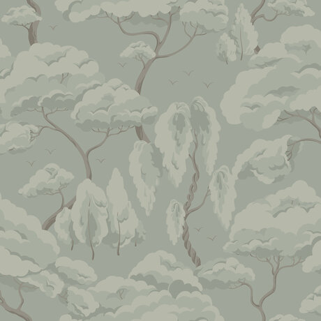 S10124_image1