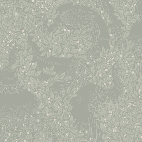 S10127_image1