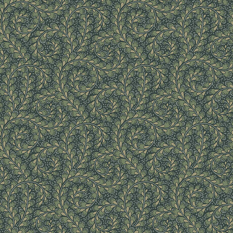 WildFerns_Image_Flatshot_Item_2258