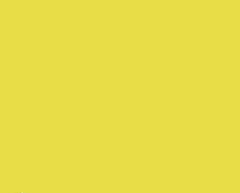 012 Primula