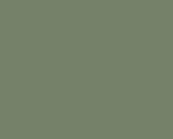 0125 Palmetto
