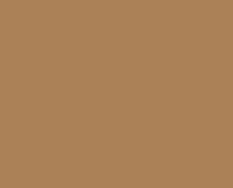 10001 DIJON YELLOW