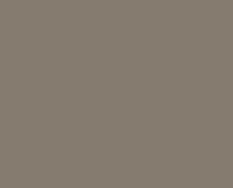 10965 HIPSTER BROWN