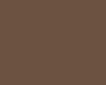 11 Brown Hen