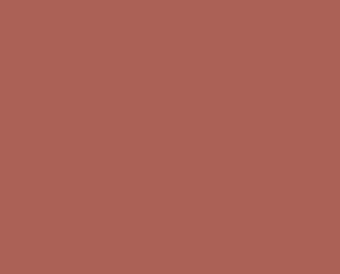 11 Burnt Sienna