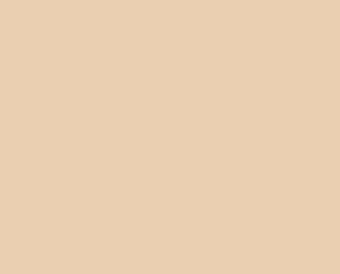 1117 PEACH SKY