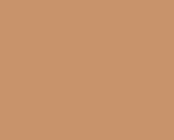 11220 Ochre Clay