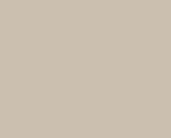 12075 SOOTHING BEIGE