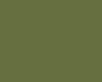 15 Green Passerine
