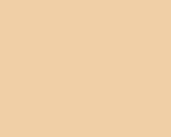 1520 CHEERFUL PEACH