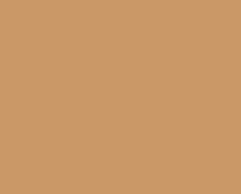1536 Burnt Ochre