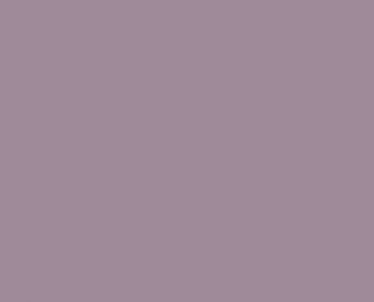 20 Macaw Mauve