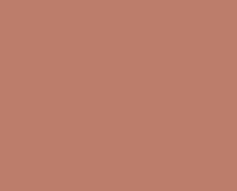 20217 MUTED CORAL