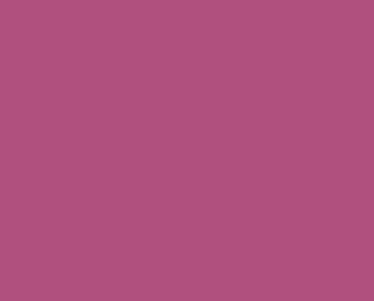 21 Hummingbird