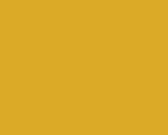 23 Canary Yellow