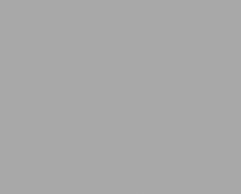 462 Porfyr