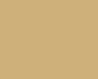 474 Gobi