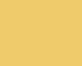 8054 SUNNY SPOT
