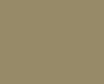 8597 Seaweed Green