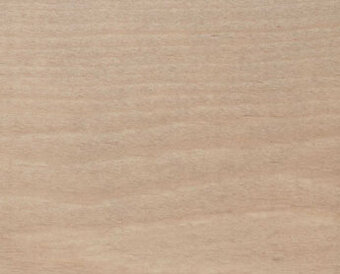 9038 Sand