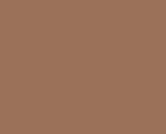232A Roe fawn